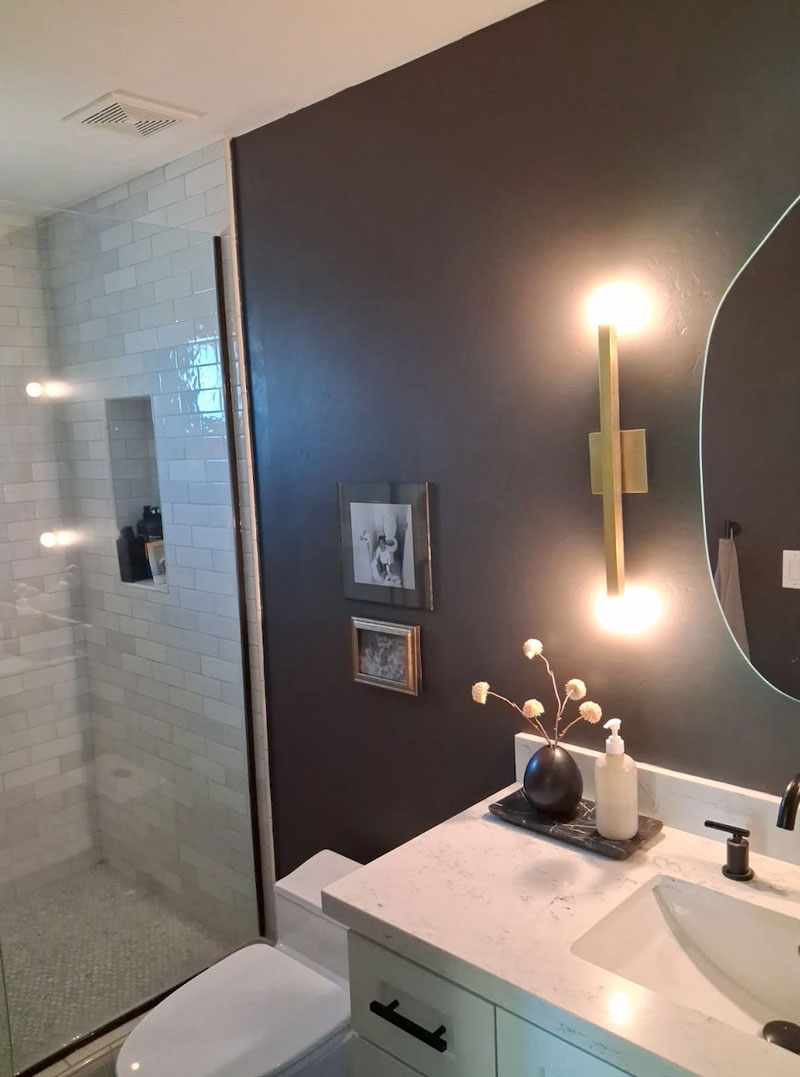 Bathroom Remodel Paint